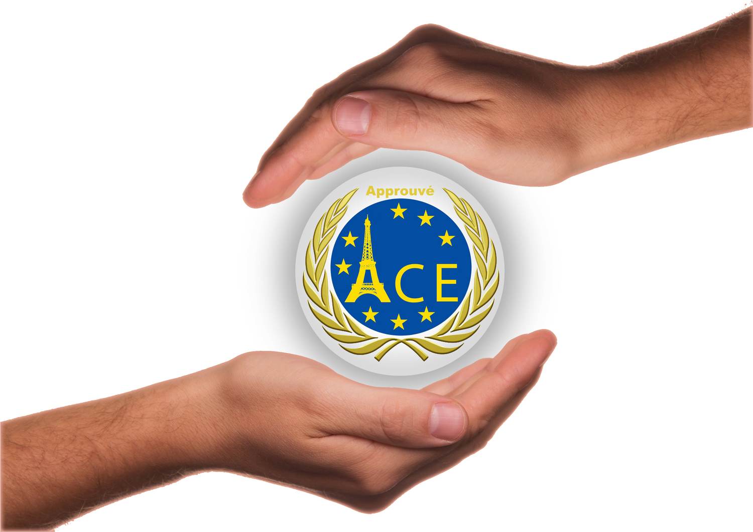 Описание изображения